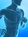 Xray running man concept Royalty Free Stock Photo