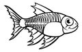 XRay Tetra Fish Cartoon Character