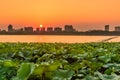 Xuanwu Lake and Nanjin city