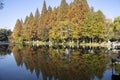 Xuanwu lake in Nanjing during autumn session