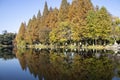 Xuanwu lake in Nanjing during autumn session