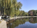Xuanwu lake in Nanjing, China during autumn session