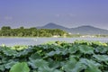 Xuanwu Lake and Purple mountain