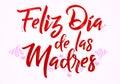 Feliz Dia de las Madres, Happy Mothers Day spanish translation message