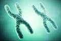 XX Chromosome in the foreground, a scientific concept. 3d illustration