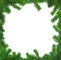 Xxl image of square spruce twig frame Royalty Free Stock Photo