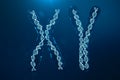 XY-Chromosomes with DNA carrying the genetic code. Genetics concept, medicine concept. Future, genetic mutations