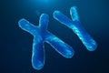 XY-Chromosomes with DNA carrying the genetic code. Genetics concept, medicine concept. Future, genetic mutations Royalty Free Stock Photo