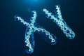 XY-Chromosomes with DNA carrying the genetic code. Genetics concept, medicine concept. Future, genetic mutations