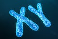 XY digital, artificial chromosomes with DNA carrying the genetic code. Genetics concept, artificial intelligence concept