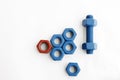 Xylan bolt and nut in blue coated with PTFE Royalty Free Stock Photo