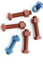 Xylan bolt and nut in blue and red coated with PTFE