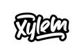 Xylem hand drawn modern brush lettering for business and advertising