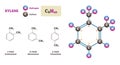 Xylene molecule vector illustration. Hydrogen and Carbon structure diagram.