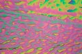 Xylitol crystals under the microscope