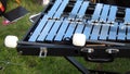 Xylophone and sticks