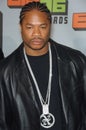 Xzibit Royalty Free Stock Photo