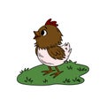 Easter illustration featuring a cute little chick walking on a spring meadow. Cheerful seasonal artwork Royalty Free Stock Photo