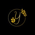 Y Gold letter and Gold Leaf logo design. Y Letter golden initial luxury Boutique Nature Floral Flower. Y Monogram vector design Royalty Free Stock Photo