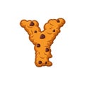 Y letter cookies. Cookie font. Oatmeal biscuit alphabet symbol.