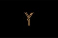 Y letter linear shape luxury flourishes ornament logotype