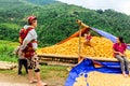Y TY, LAOCAI, VIETNAM - SEPTEMBER 6, 2014 - Ethnic people are happy with their corn harvest
