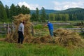 The season of hay for the winter