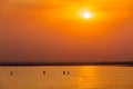 Yacht boats in lake on sunset