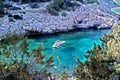 Yacht in Ibiza blue paradise bay