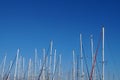 Yacht masts without sails against the background of a clear blue sky, copy space Royalty Free Stock Photo