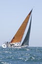 Yacht With Orange Sail Competes In Team Sailing Event