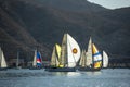 Yacht regatta along the coast of Spain winter