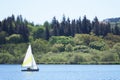 Yacht sailing in summer lake colourful sail blown in wind