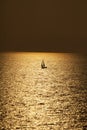 Yacht Sailing on water of ocean at sunset Royalty Free Stock Photo