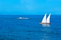 The yacht in the sea, Chania Bay, Crete, Greece