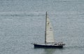 Yacht travelling off the waters of Auckland, New Zealand waterfront