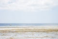 Yacht with white sail on the beach on tropical background. Sailboat at seaside. Low tide in lagoon. Exotic nature. Royalty Free Stock Photo