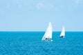 Yachting. Tourism. Luxury Lifestyle. Ship yachts with white sails in the open sea. Royalty Free Stock Photo