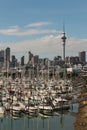 Yachts in Auckland marina