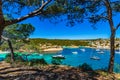 Yachts at bay of Portals Vells seaside, Majorca island Spain Royalty Free Stock Photo