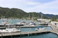 Yachts and boats docked Picton harbour New Zealand