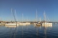 Yachts and boats in marina in the morning