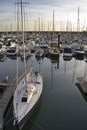 Yachts at Brighton Marina