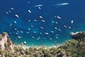 Yachts in Capri Royalty Free Stock Photo