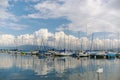 Yachts, clouds and a swan