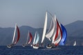 Yachts with colored spinnaker racing in Gocek Royalty Free Stock Photo