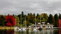 Yachts in docked in the Boatyard Marina at Stanley Park.