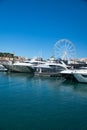 Yachts docked in Cannes,France Royalty Free Stock Photo