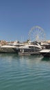 Yachts docked in Cannes,France Royalty Free Stock Photo