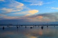 Sailboats on a quiet harbor at sunset